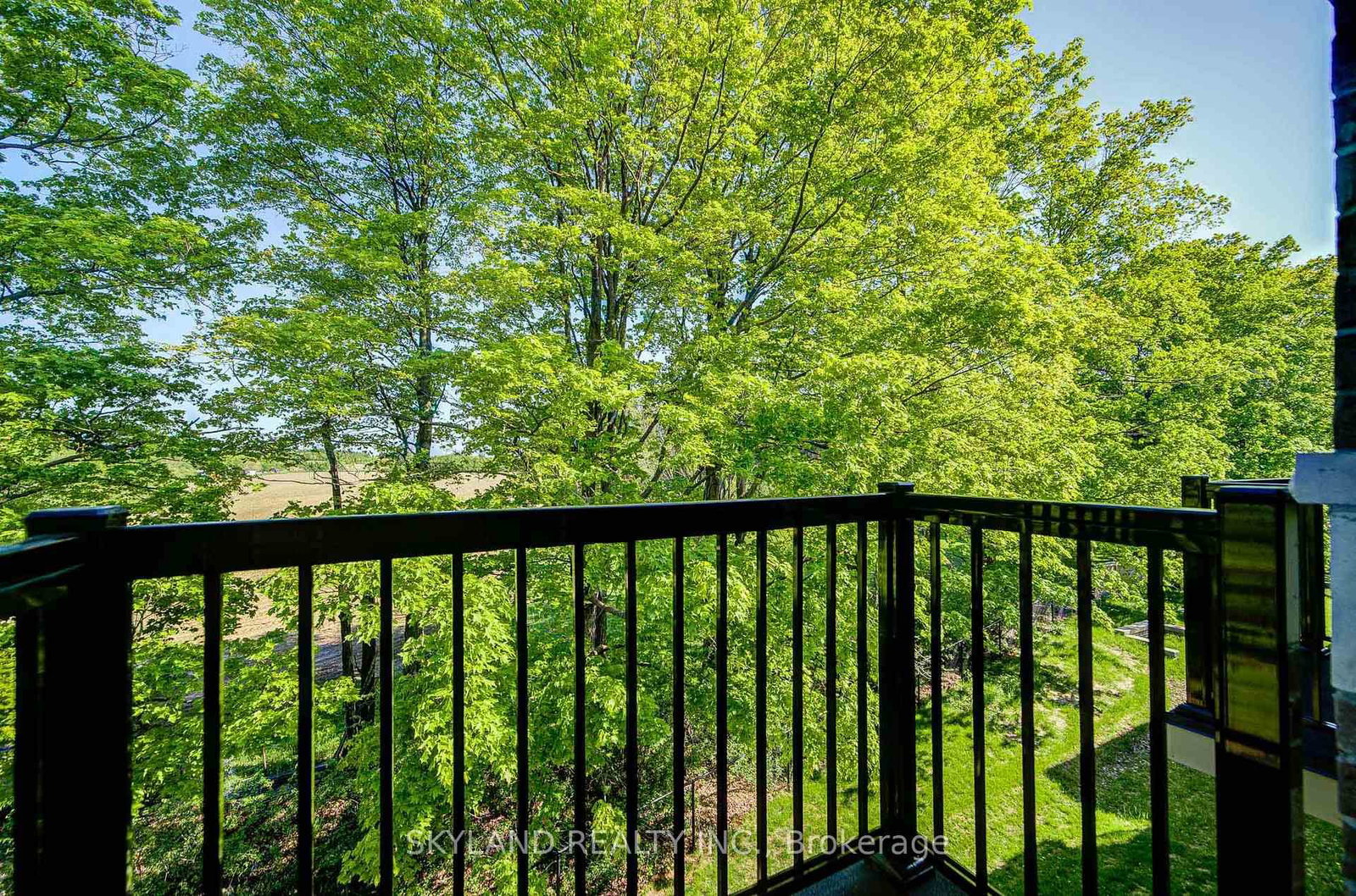 66 Puisaya Drive • Richmond Hill, ON photo 24