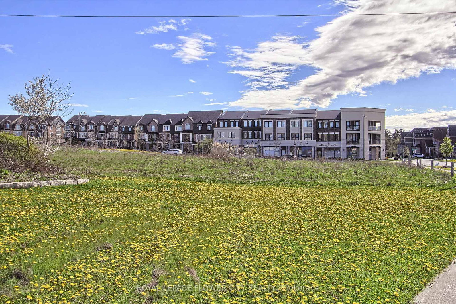 105 Morning Sparrow Drive • Vaughan, ON photo 48