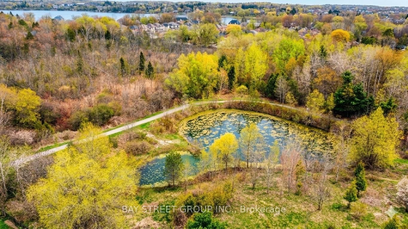 37 Bayswater Avenue • Richmond Hill, ON photo 16