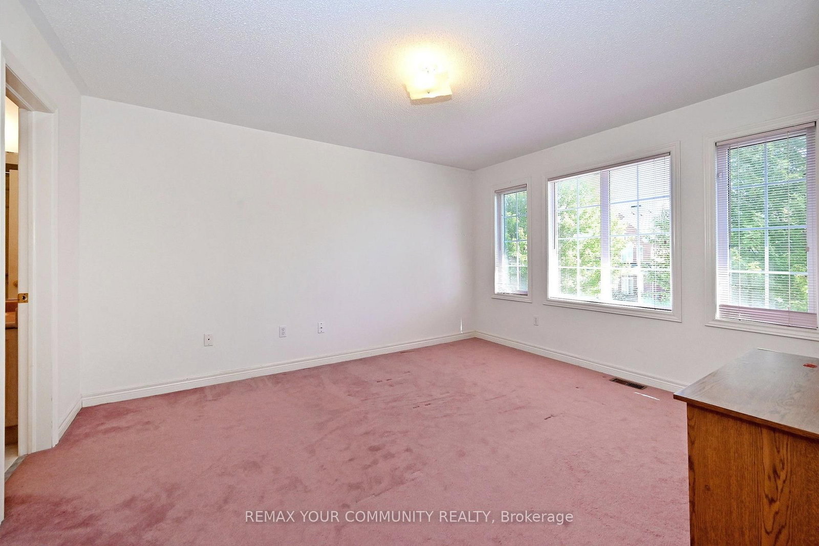 14 Houser Street • Markham, ON photo 29