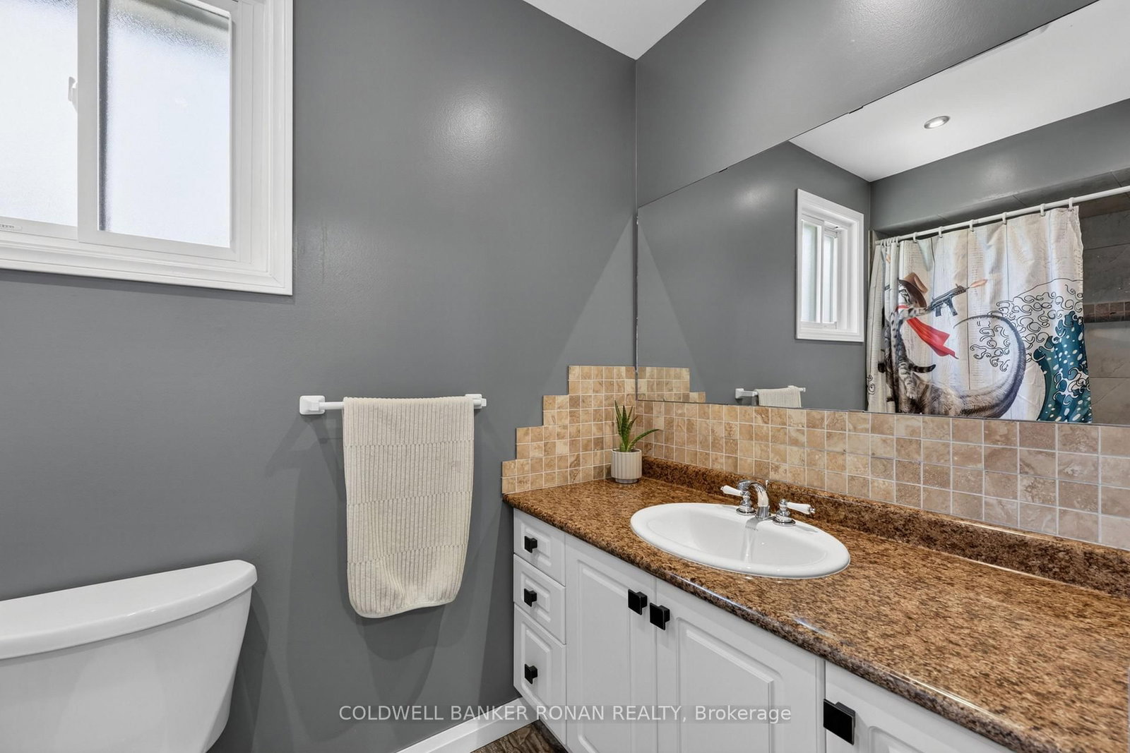 132 Queen Street • New Tecumseth, ON photo 17