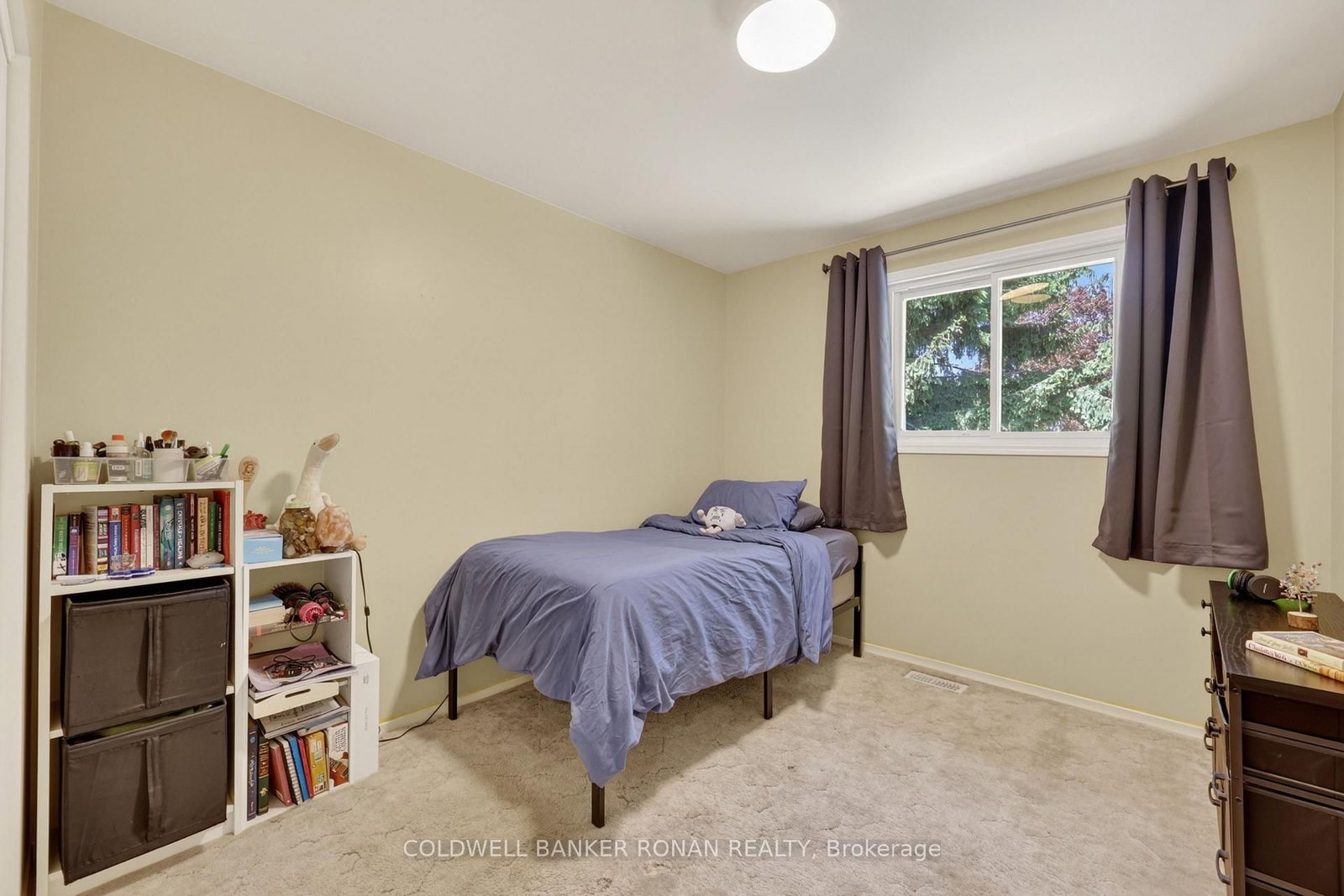 132 Queen Street • New Tecumseth, ON photo 20