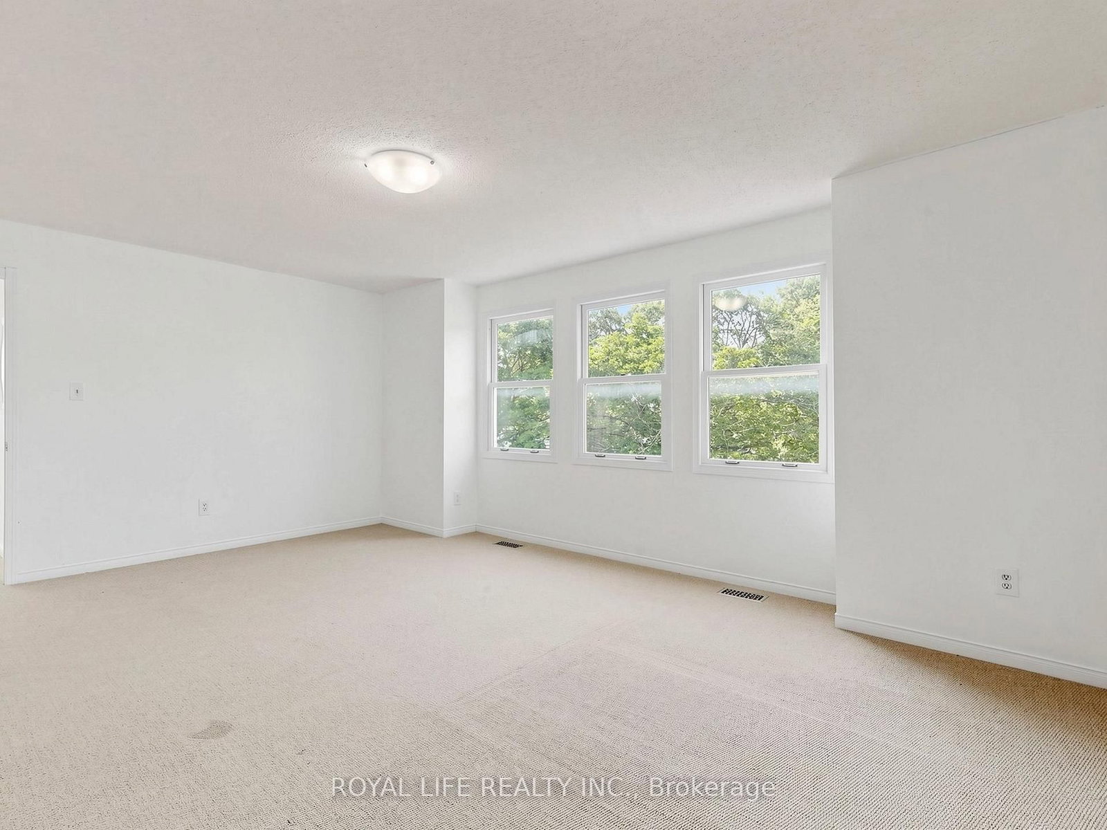 985 Linden Street • Innisfil, ON photo 19