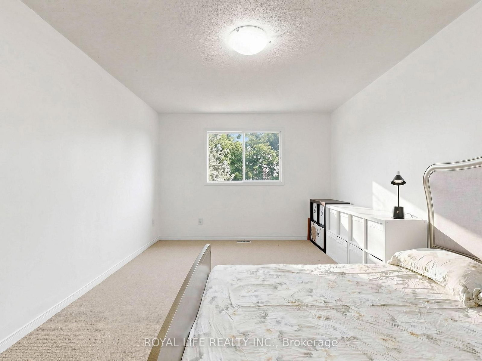 985 Linden Street • Innisfil, ON photo 29