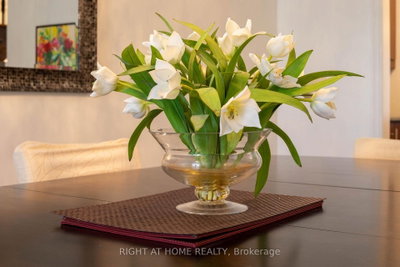 11 Littleriver Court • Vaughan, ON photo 9
