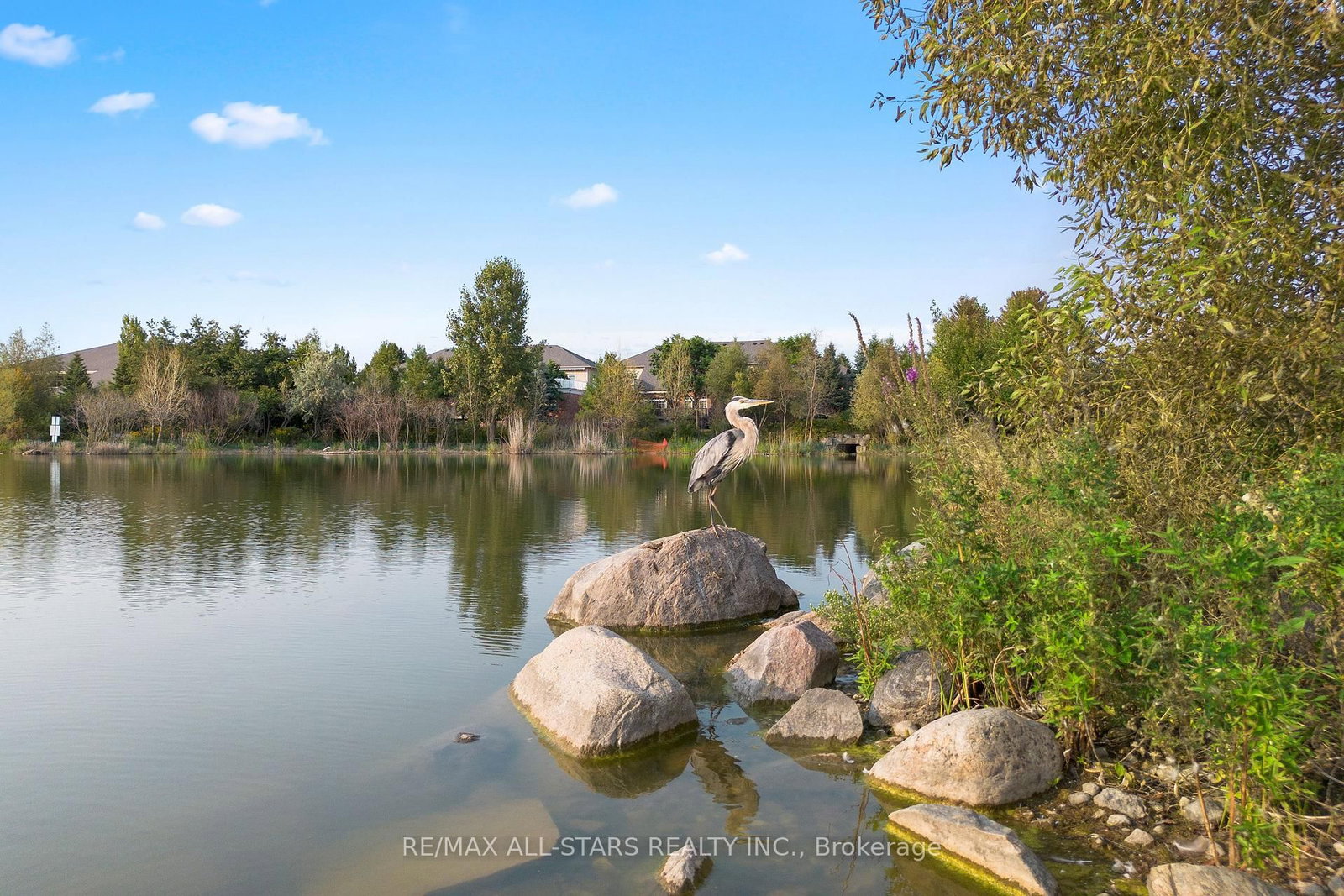 16 Kingfisher Cove Way • Markham, ON photo 46