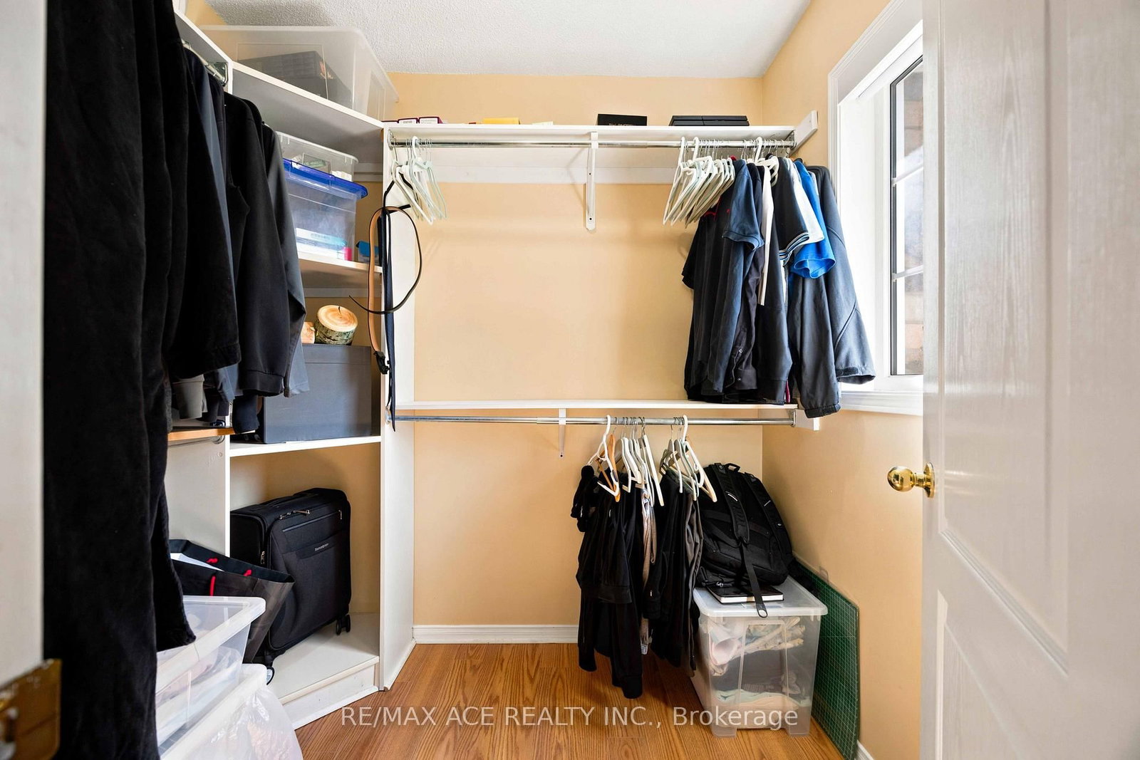 16 White's Hill Avenue • Markham, ON photo 17