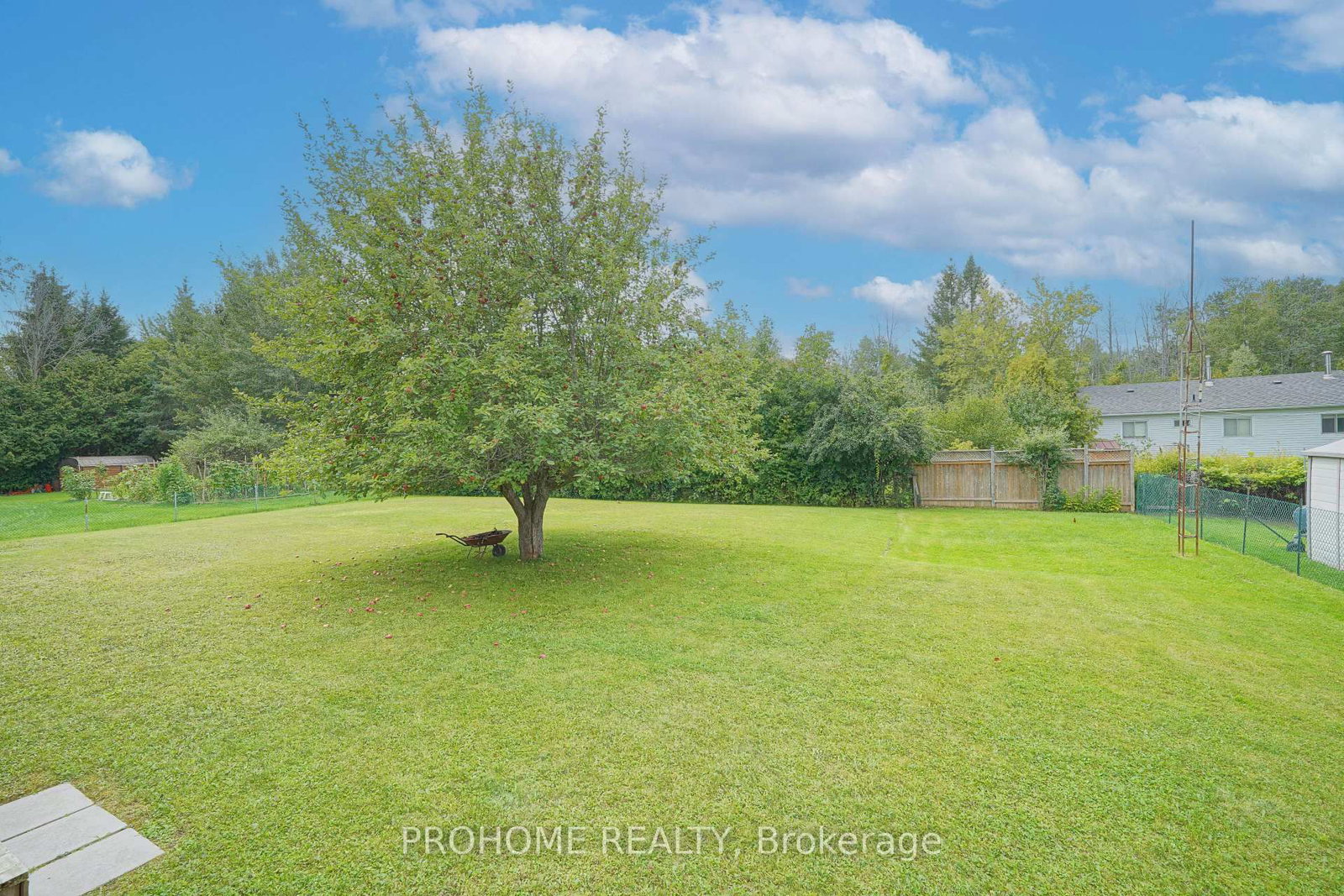 10 Joel Avenue • Georgina, ON photo 27