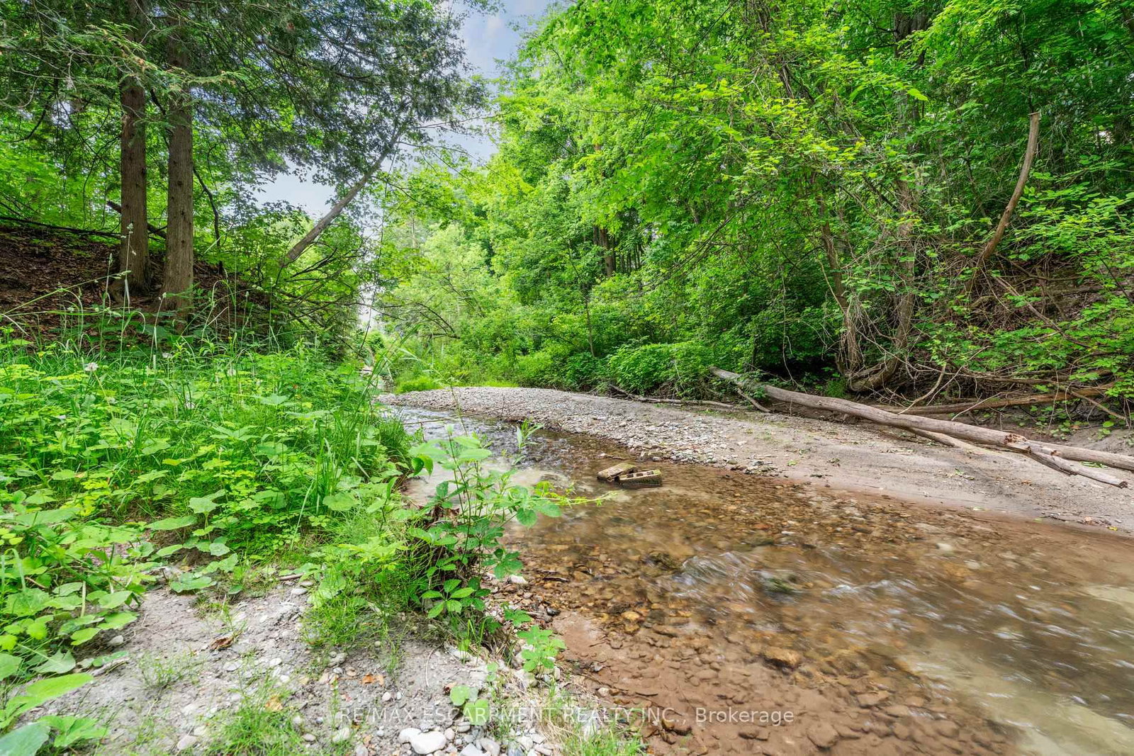 8936 32nd Side Road • Adjala-Tosorontio, ON photo 4