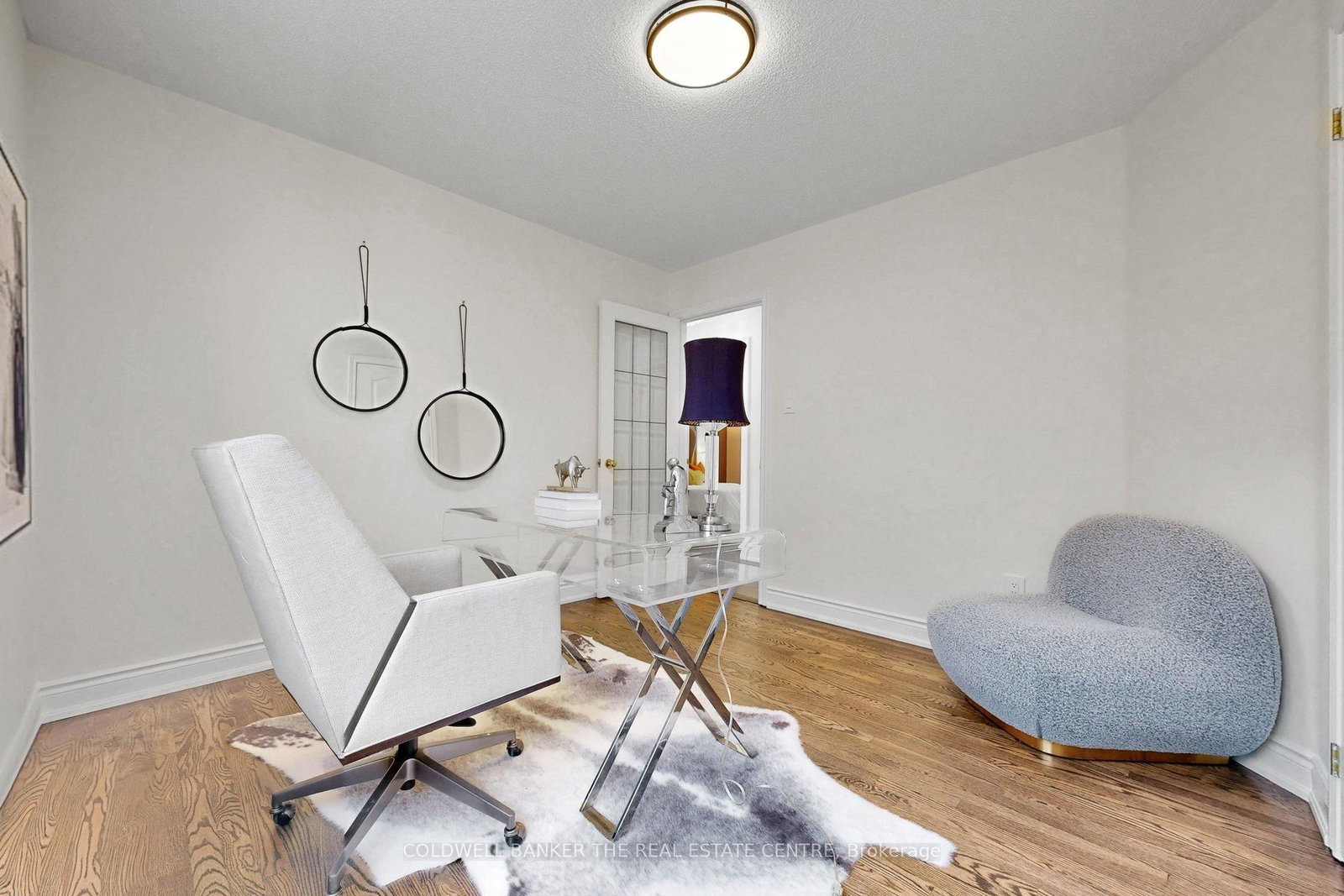 32 Princeton Avenue • Richmond Hill, ON photo 28