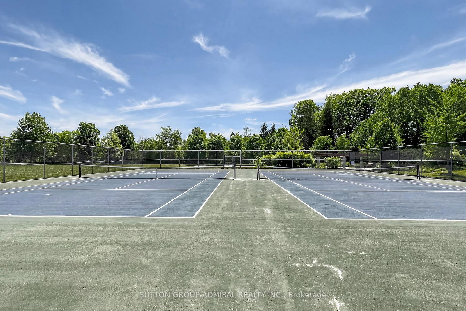 50 Springer Drive • Richmond Hill, ON photo 48
