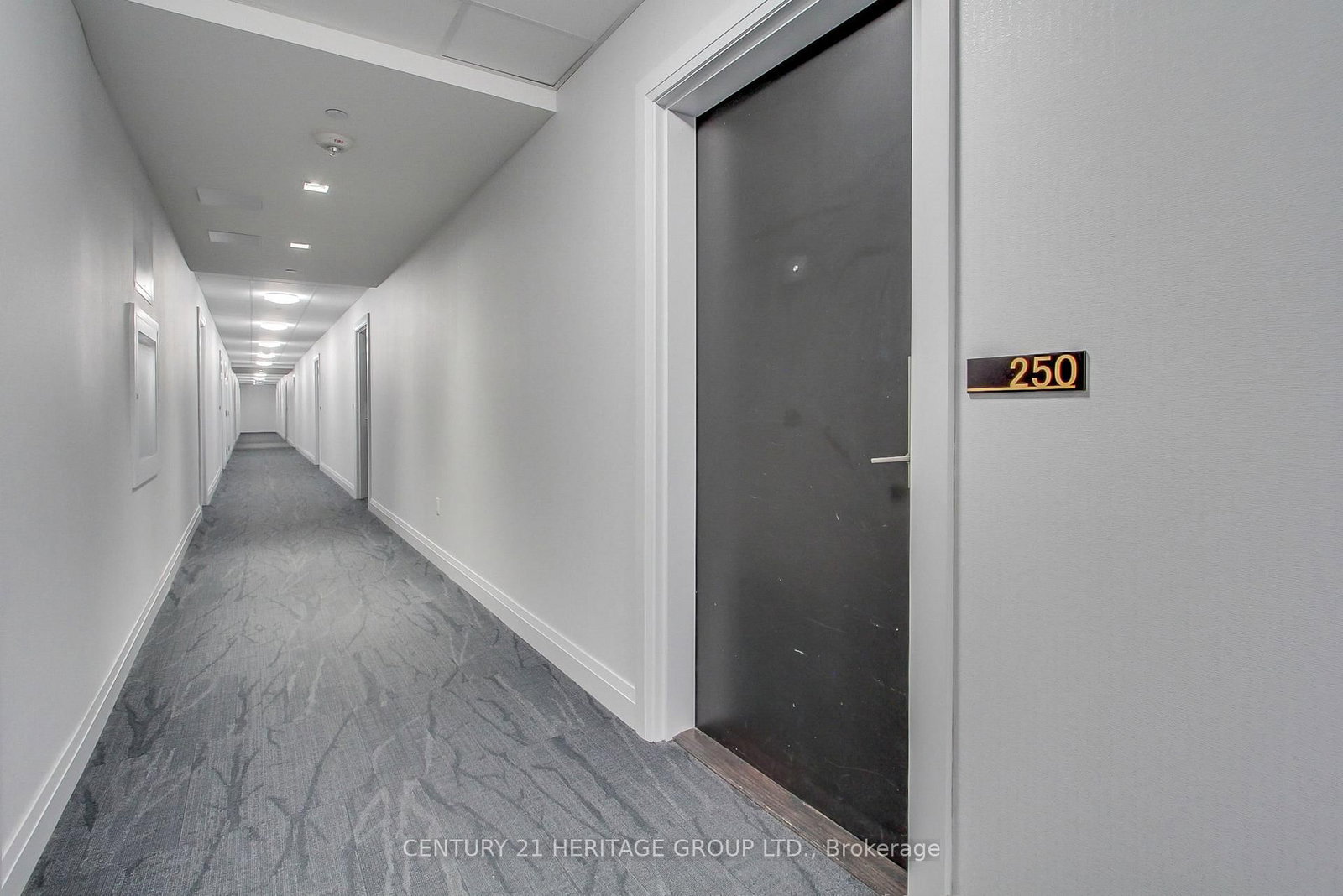 555 William Graham Drive • #250 • Aurora, ON photo 4
