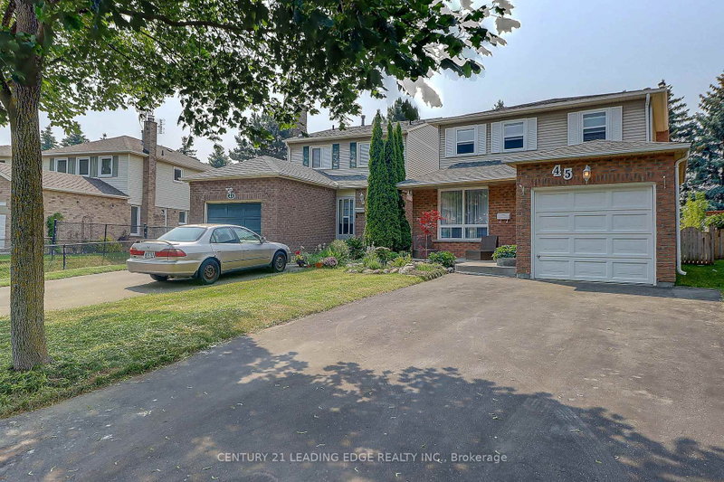 45 Vanessa Road