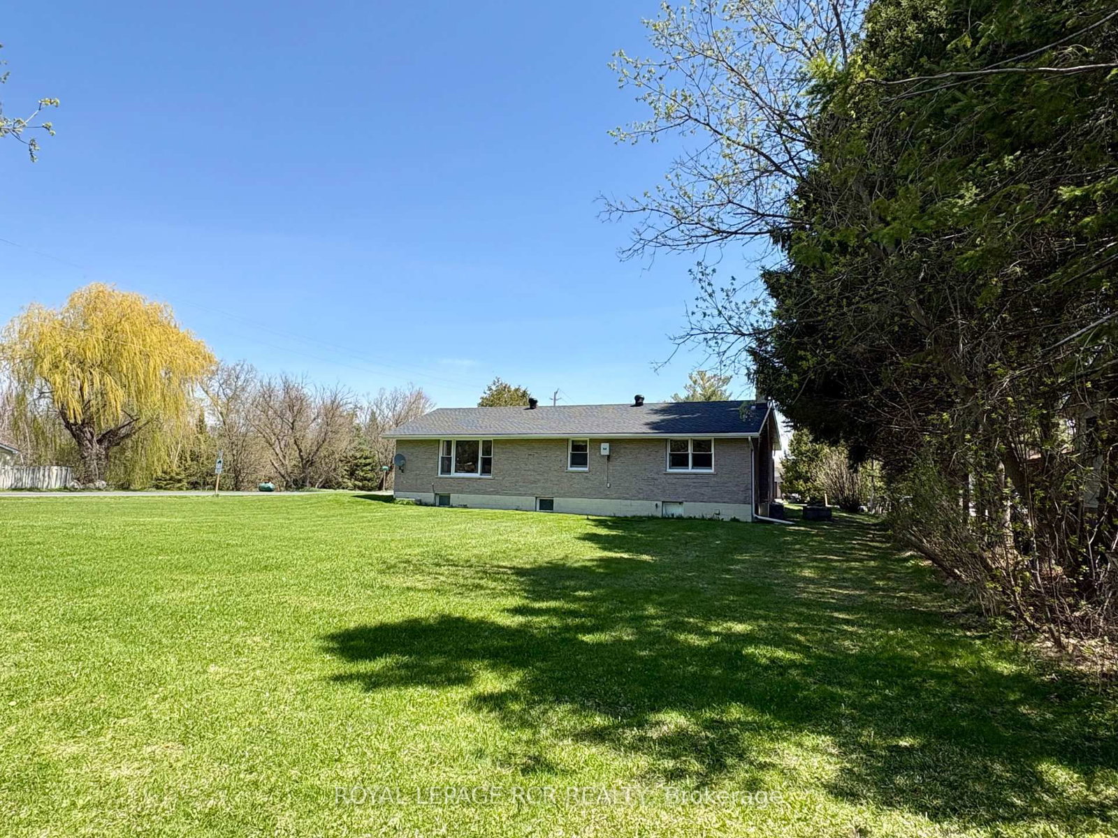 24 Drummond Street • Adjala-Tosorontio, ON photo 22