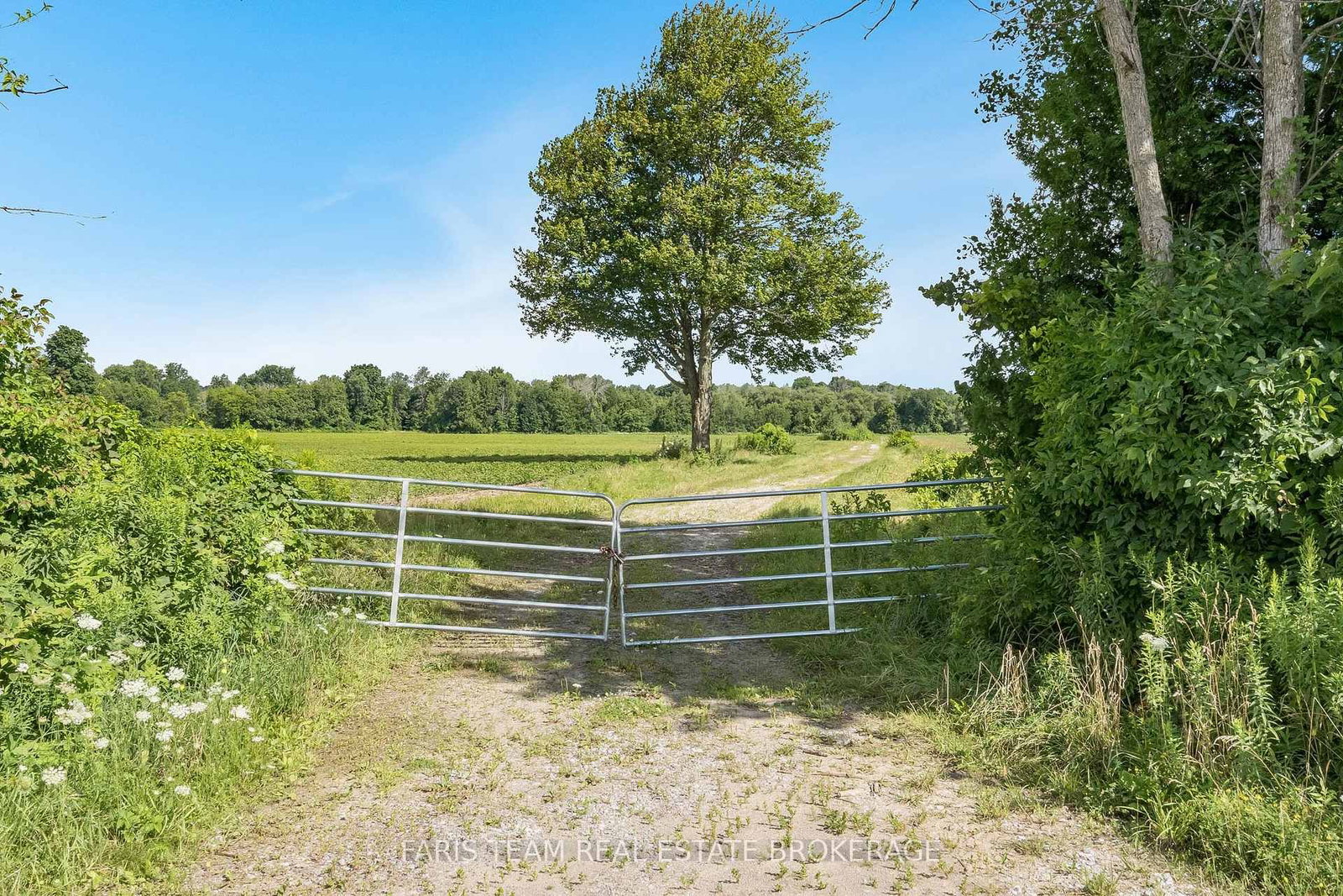 4065 15th Line • Innisfil, ON photo 6