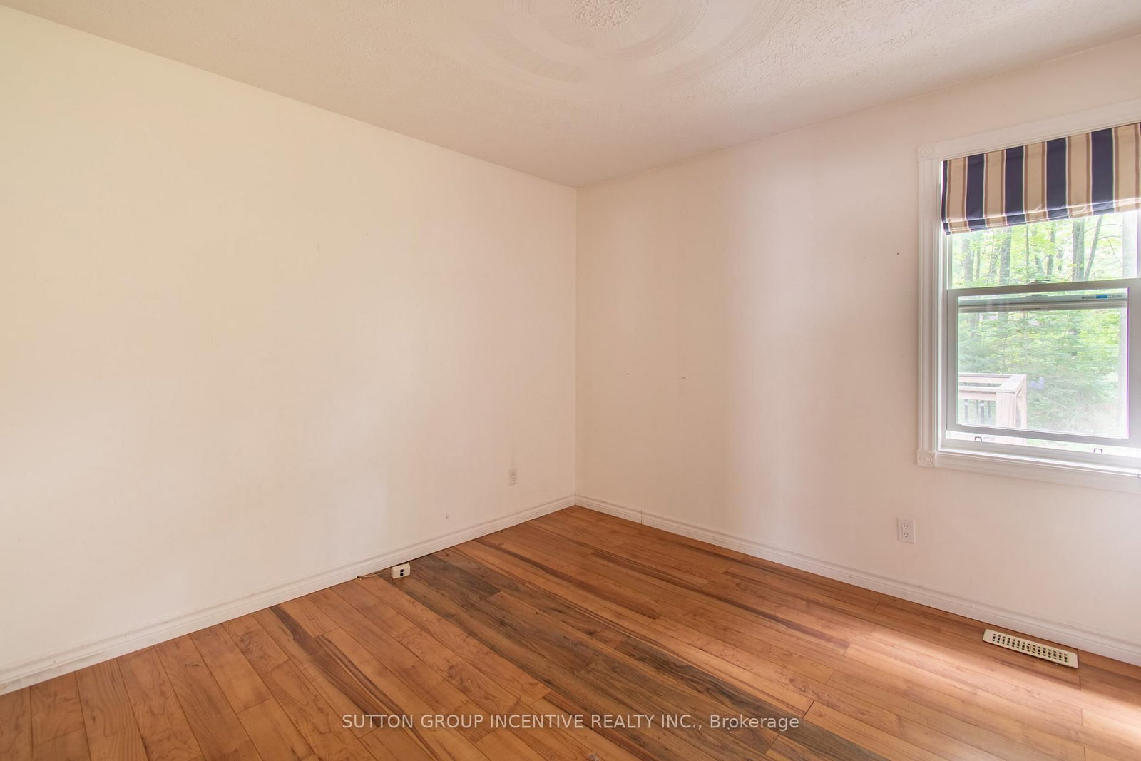 59 Forest Hill Drive • Adjala-Tosorontio, ON photo 16