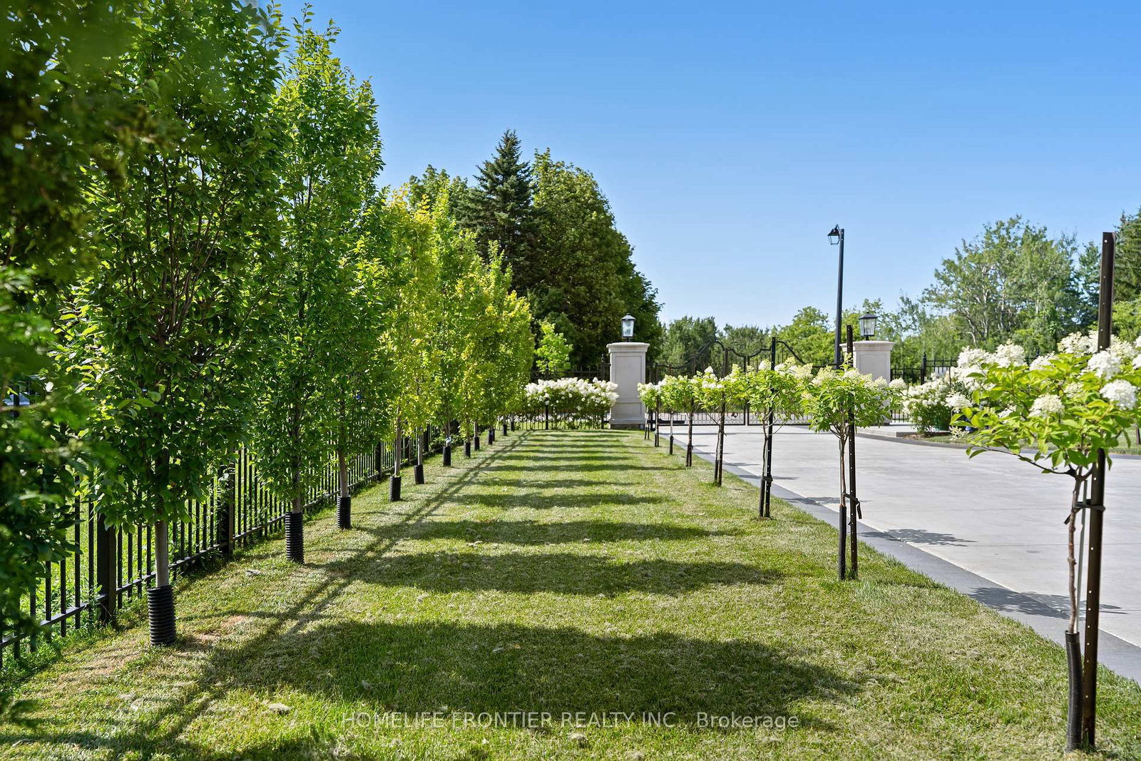 731 Woodland Acres Crescent • Vaughan, ON photo 4
