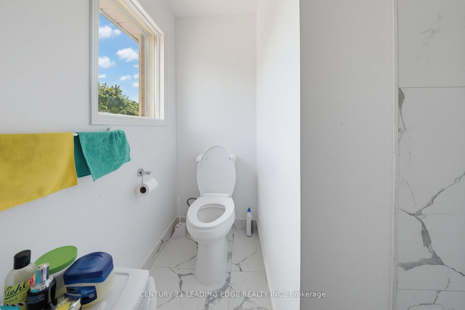 56 Sunshine Drive • Richmond Hill, ON photo 19