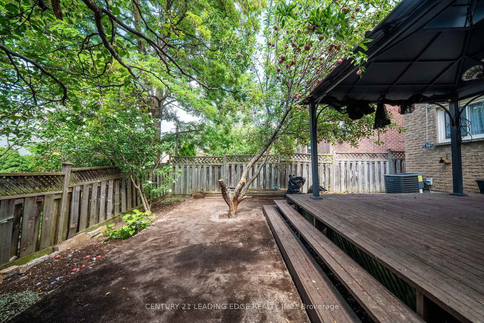 56 Sunshine Drive • Richmond Hill, ON photo 34