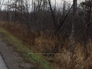 Lot#10 Mccowan Road • Georgina, ON photo 5