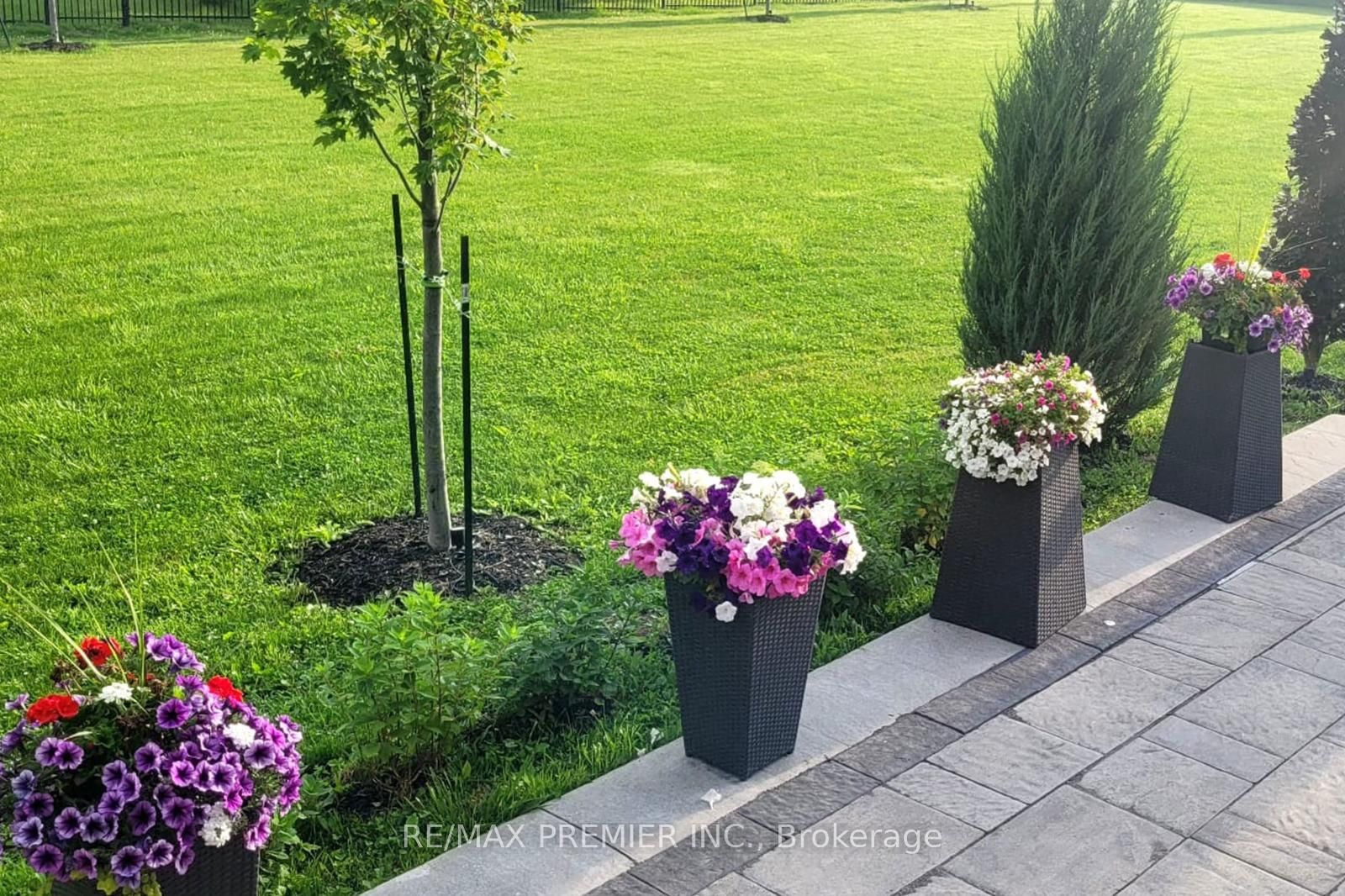 2180 King Vaughan Road • Vaughan, ON photo 4