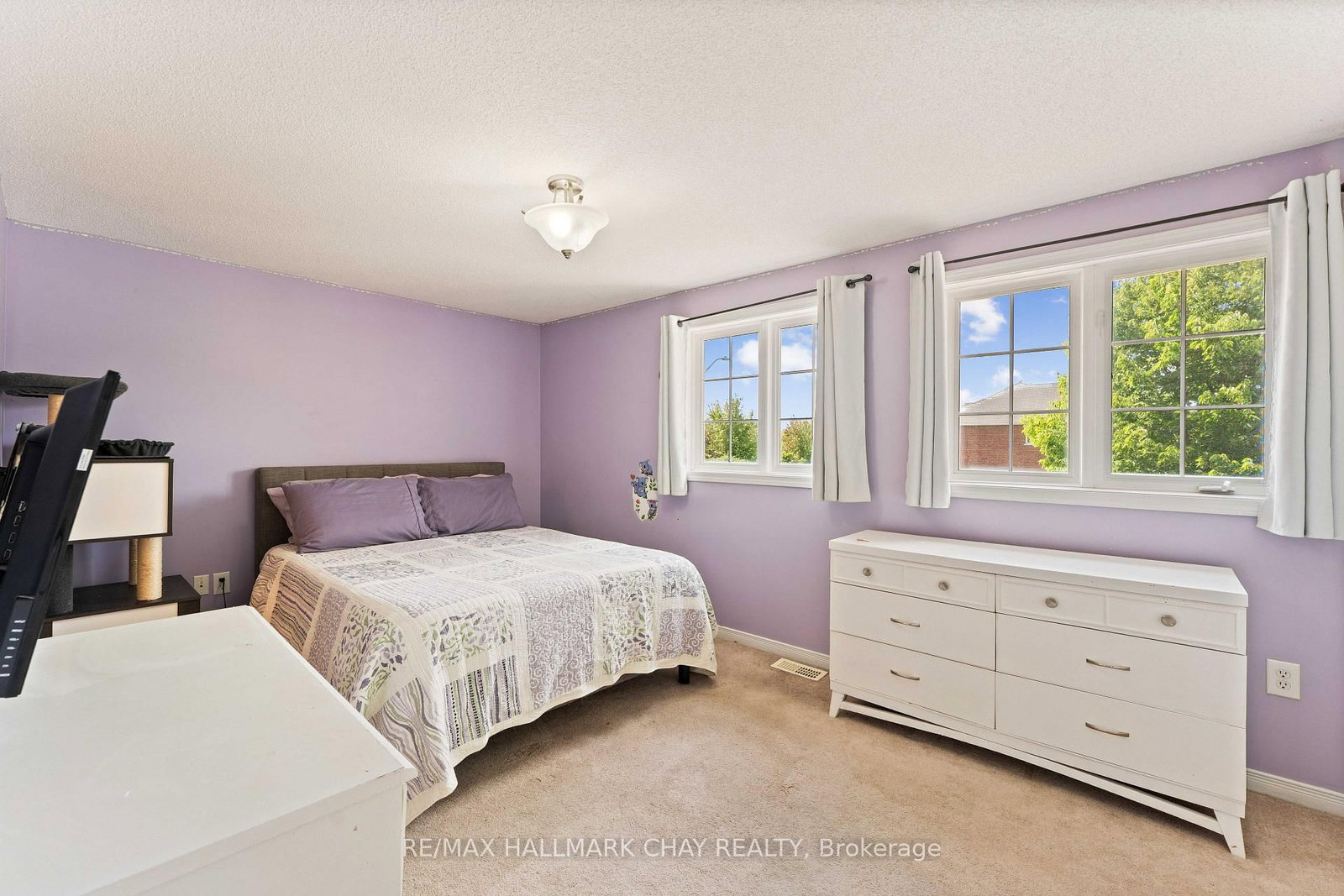 2035 Swan Street • Innisfil, ON photo 13