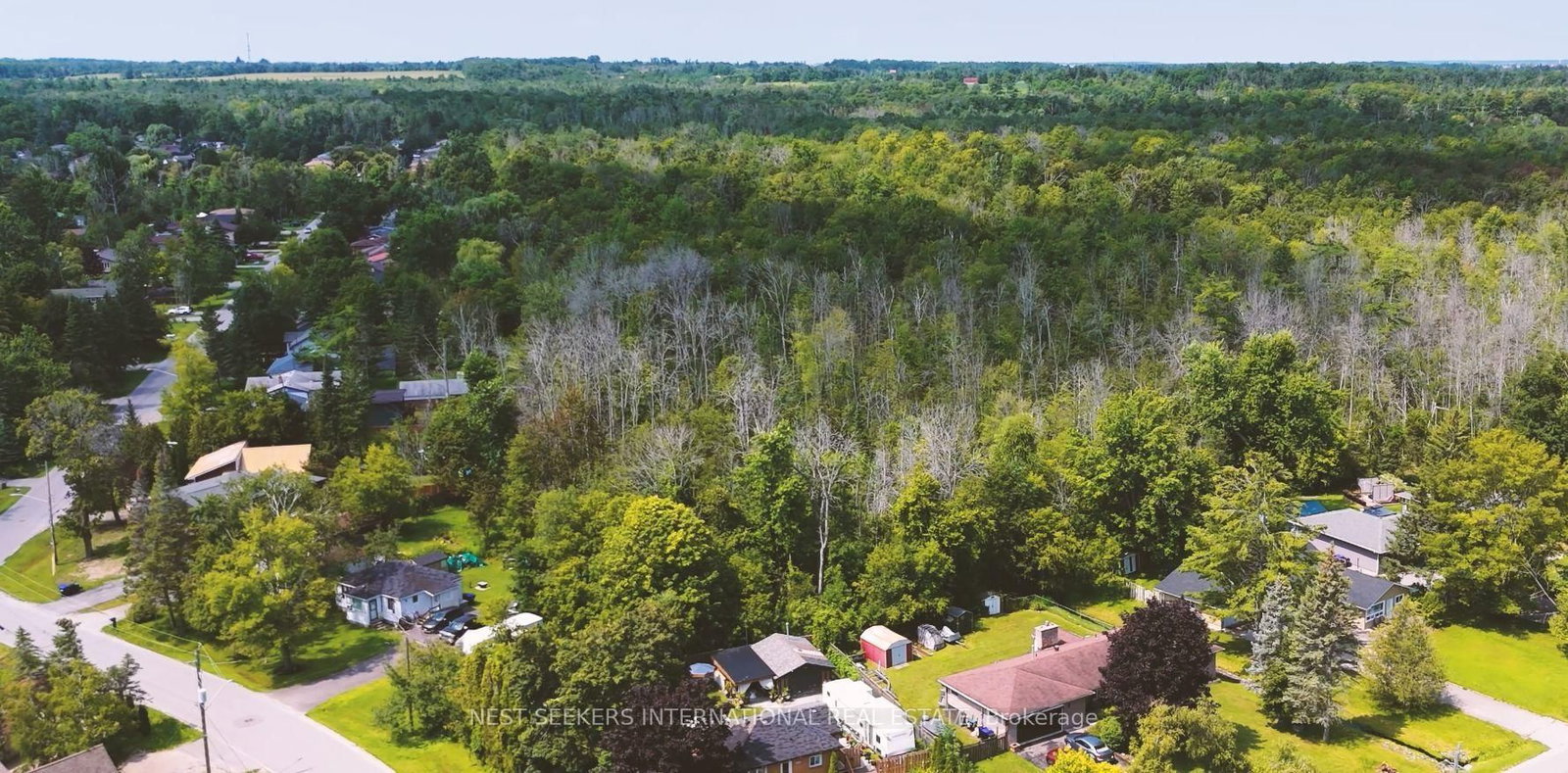 2596 Leonard Street • Innisfil, ON photo 13