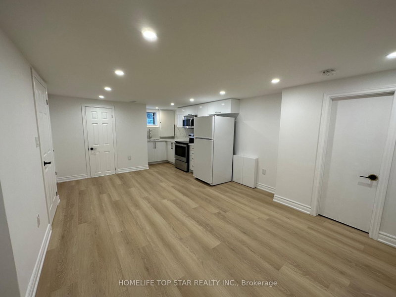 Basement - 38 Cartier Crescent