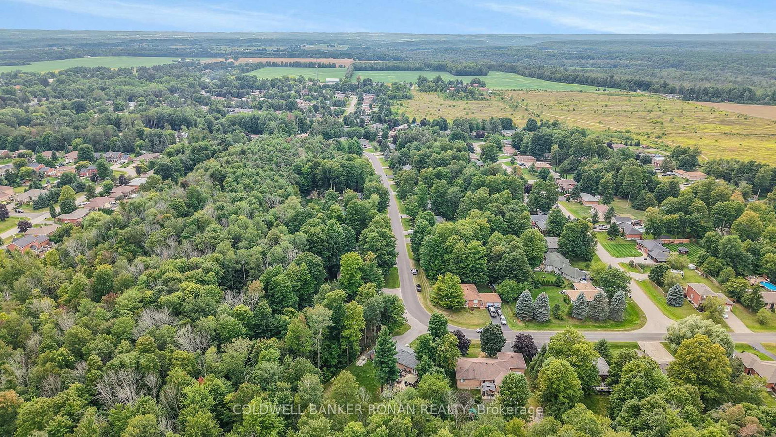 57 Pine Park Boulevard • Adjala-Tosorontio, ON photo 49