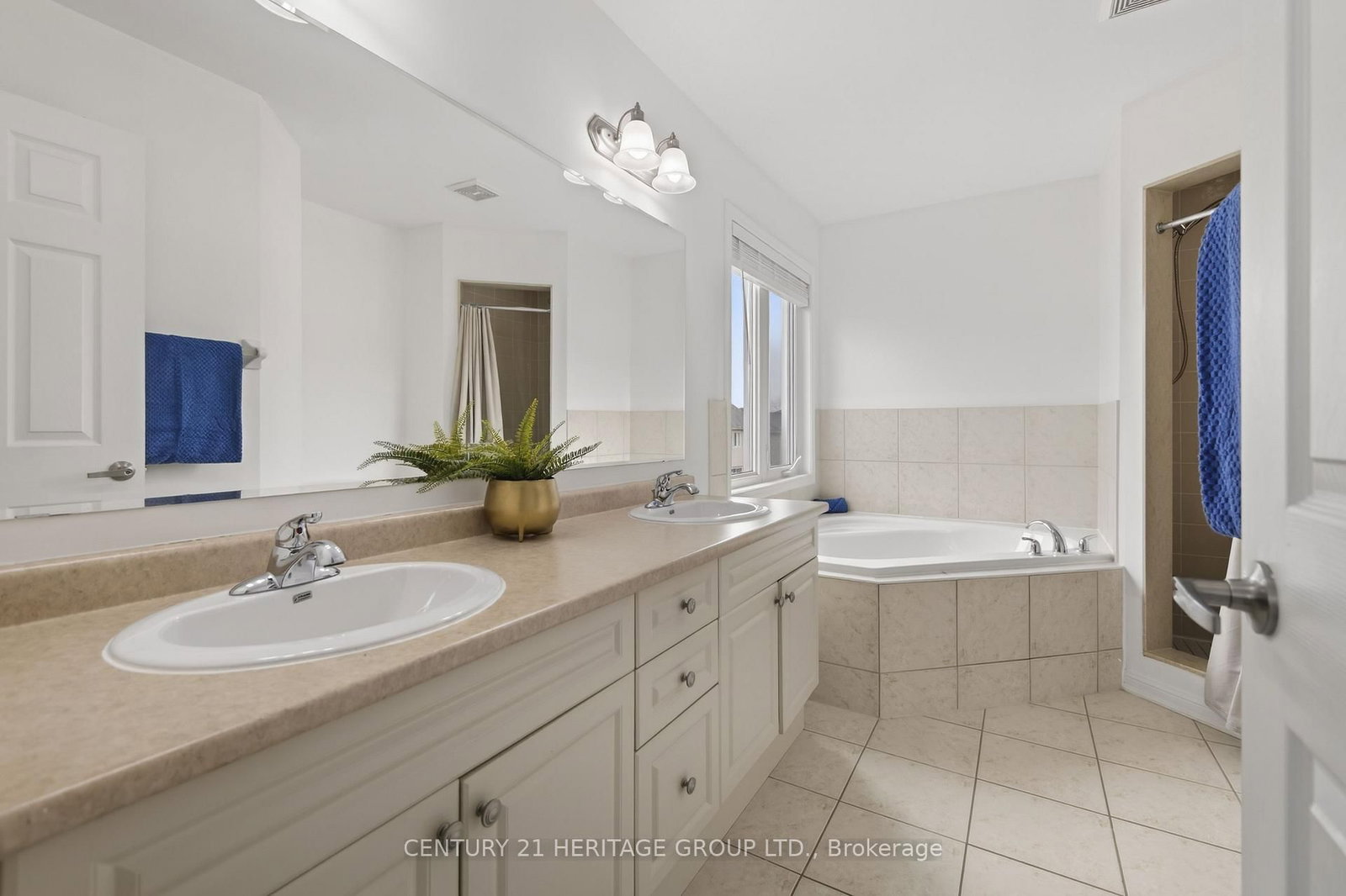 17 Gordon Drive • New Tecumseth, ON photo 19