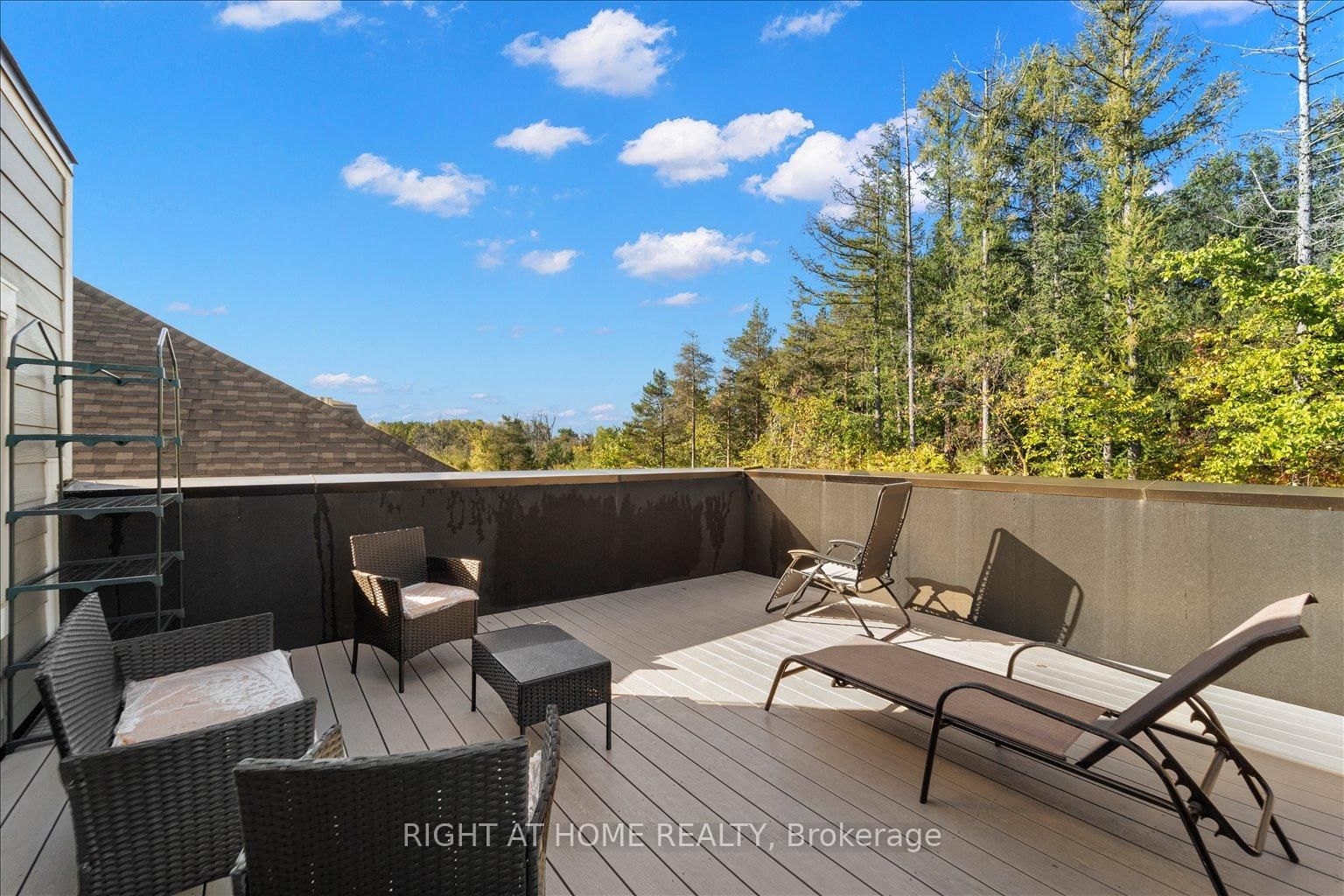 121 Milky Way Drive • Richmond Hill, ON photo 39