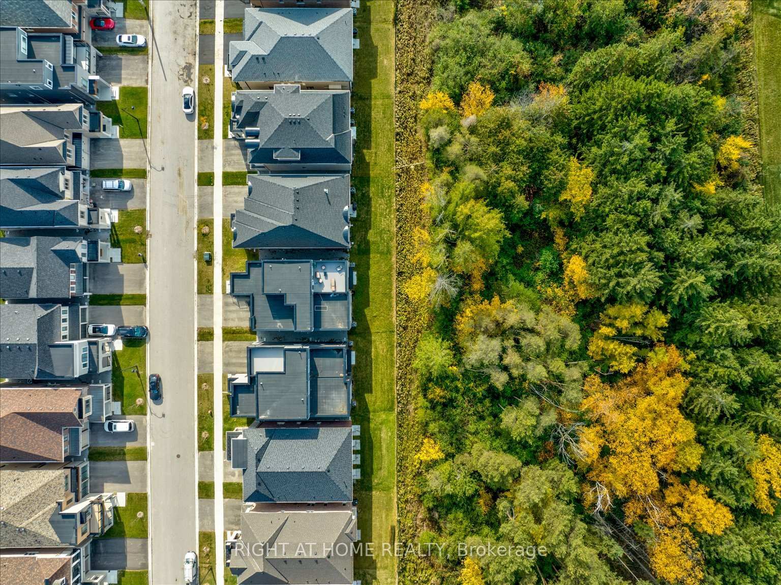 121 Milky Way Drive • Richmond Hill, ON photo 49