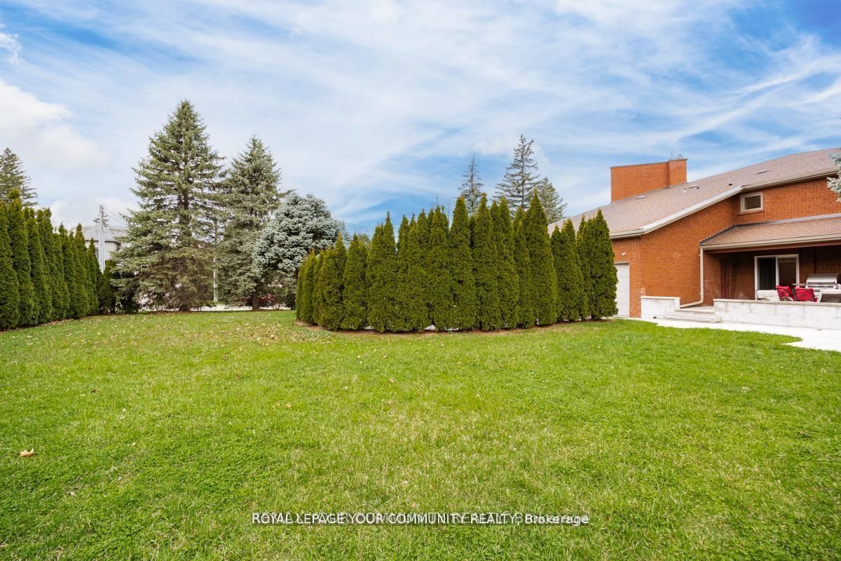 117 Hayhoe Avenue • Vaughan, ON photo 10