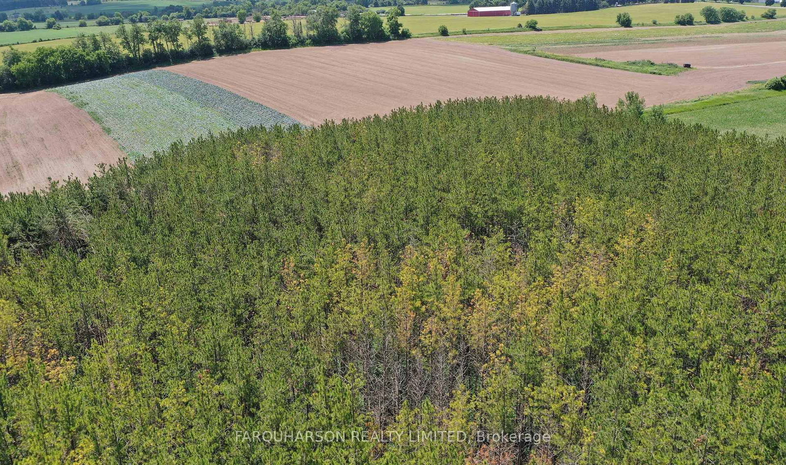 729 Fowlers Road • Uxbridge, ON photo 8