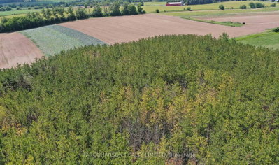 729 Fowlers Road • Uxbridge, ON photo 8