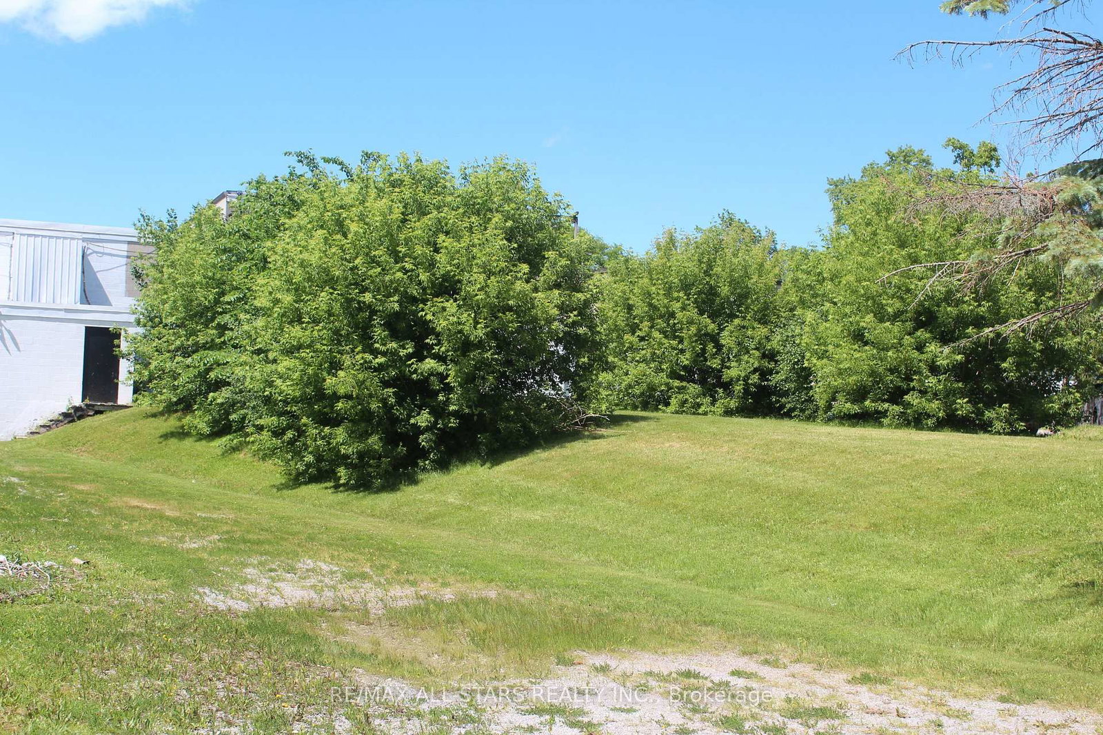 184 Frederick Street • Georgina, ON photo 12