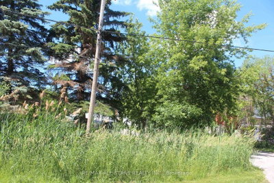 184 Frederick Street • Georgina, ON photo 9