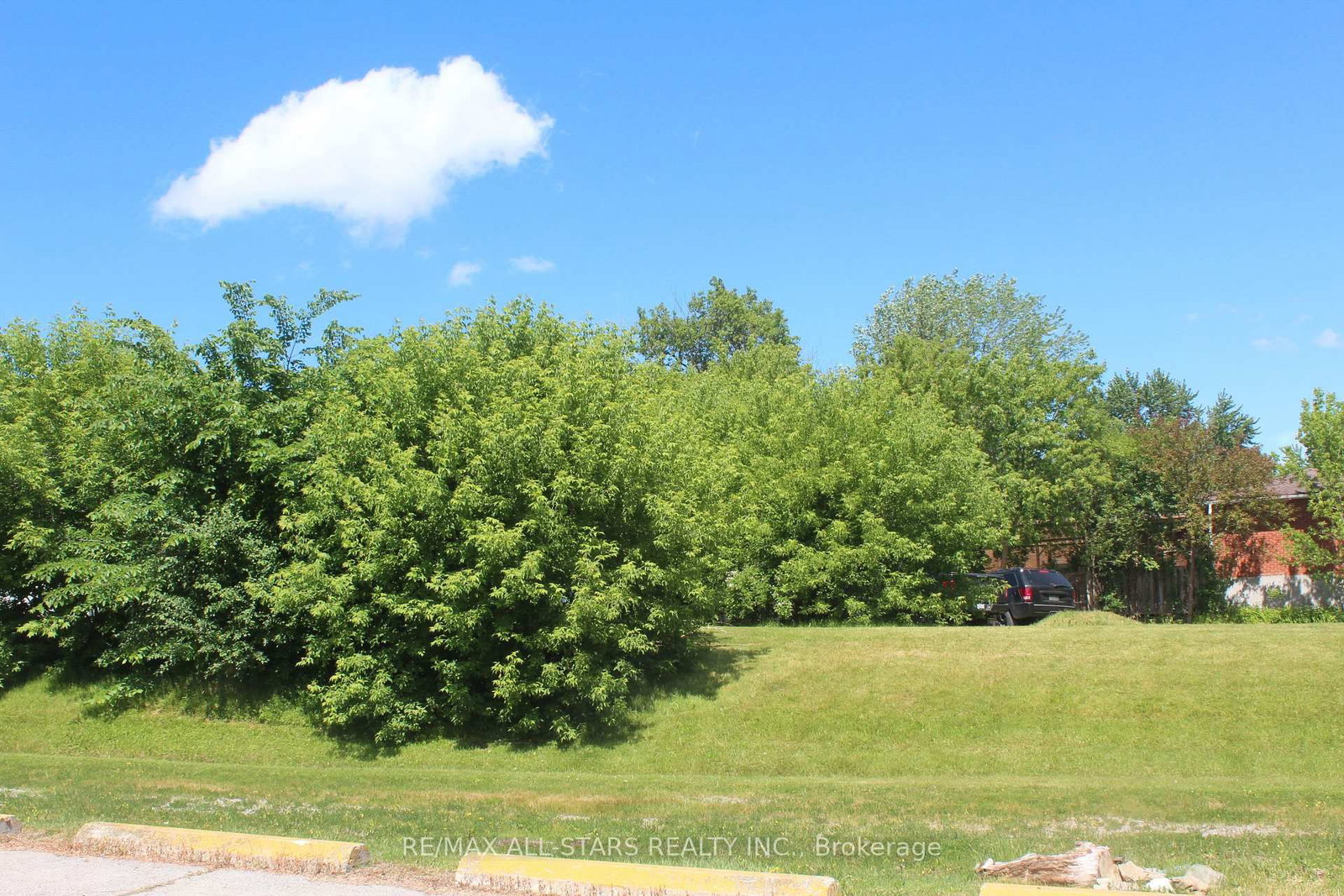 182 Frederick Street • Georgina, ON photo 2