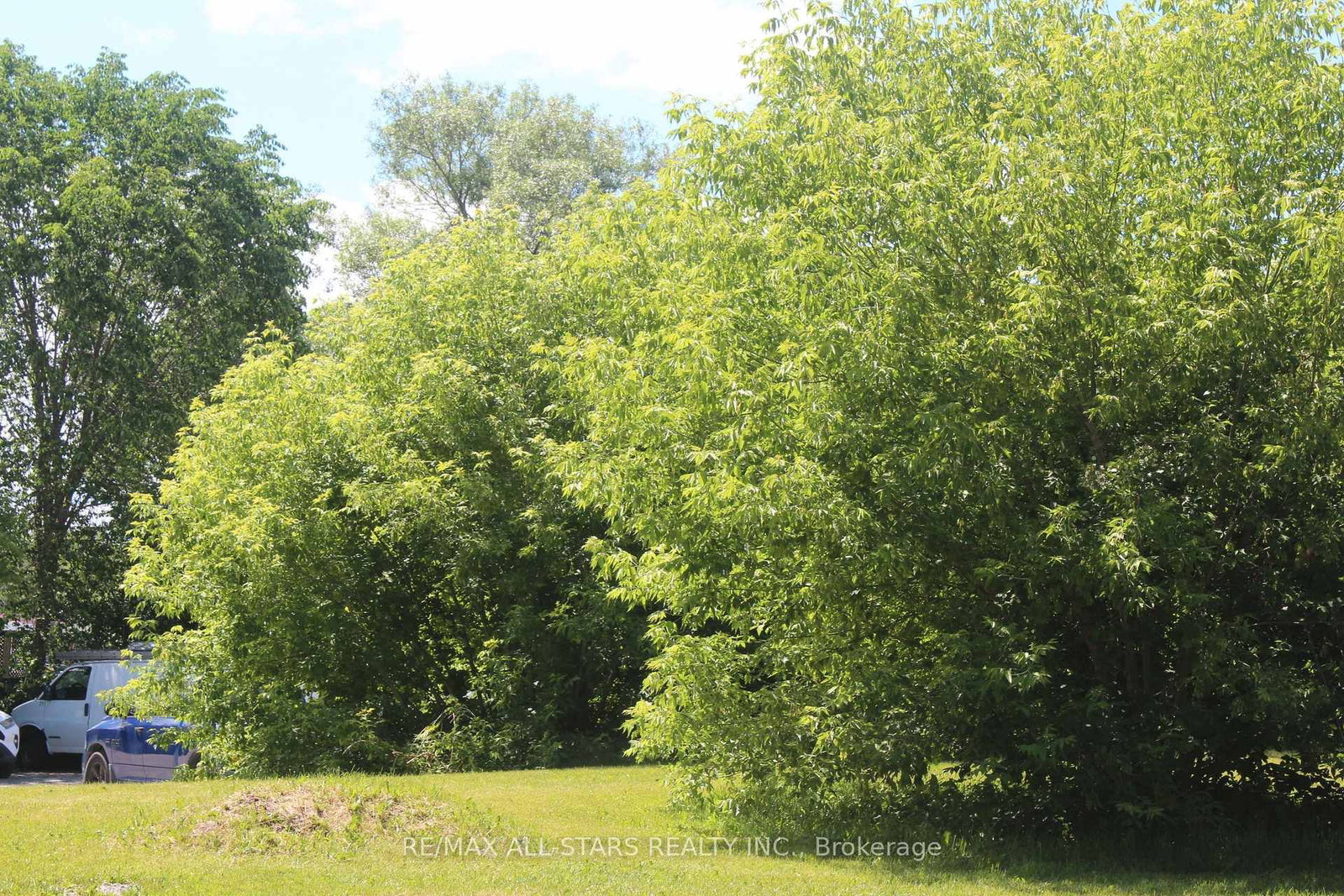 180 Frederick Street • Georgina, ON photo 10