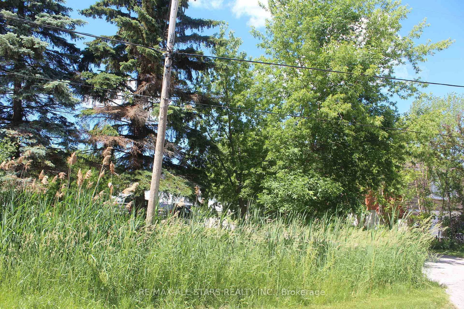 180 Frederick Street • Georgina, ON photo 9