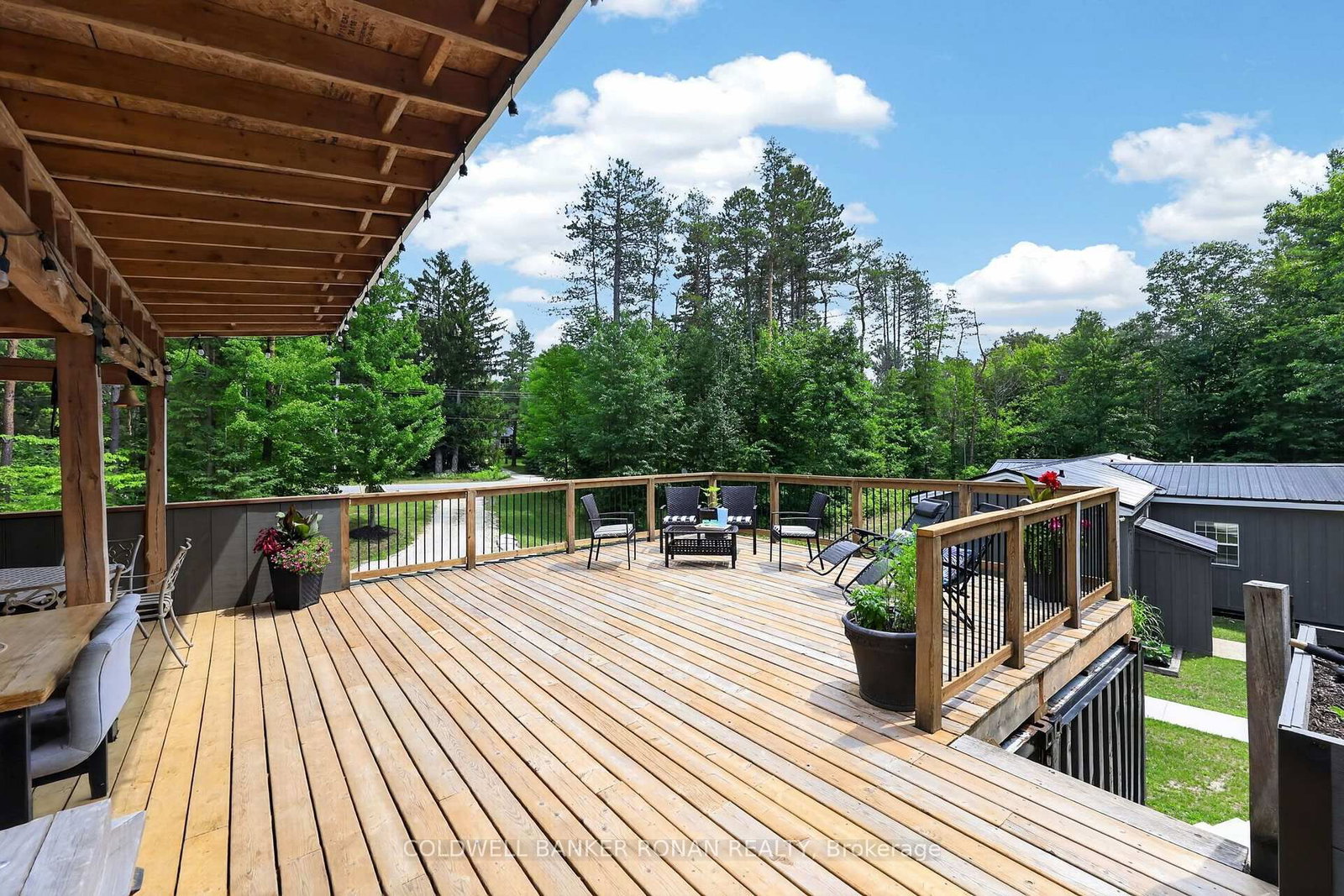 9087 Webster Road • Adjala-Tosorontio, ON photo 36