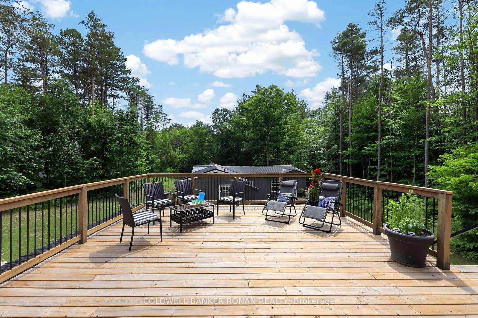 9087 Webster Road • Adjala-Tosorontio, ON photo 37