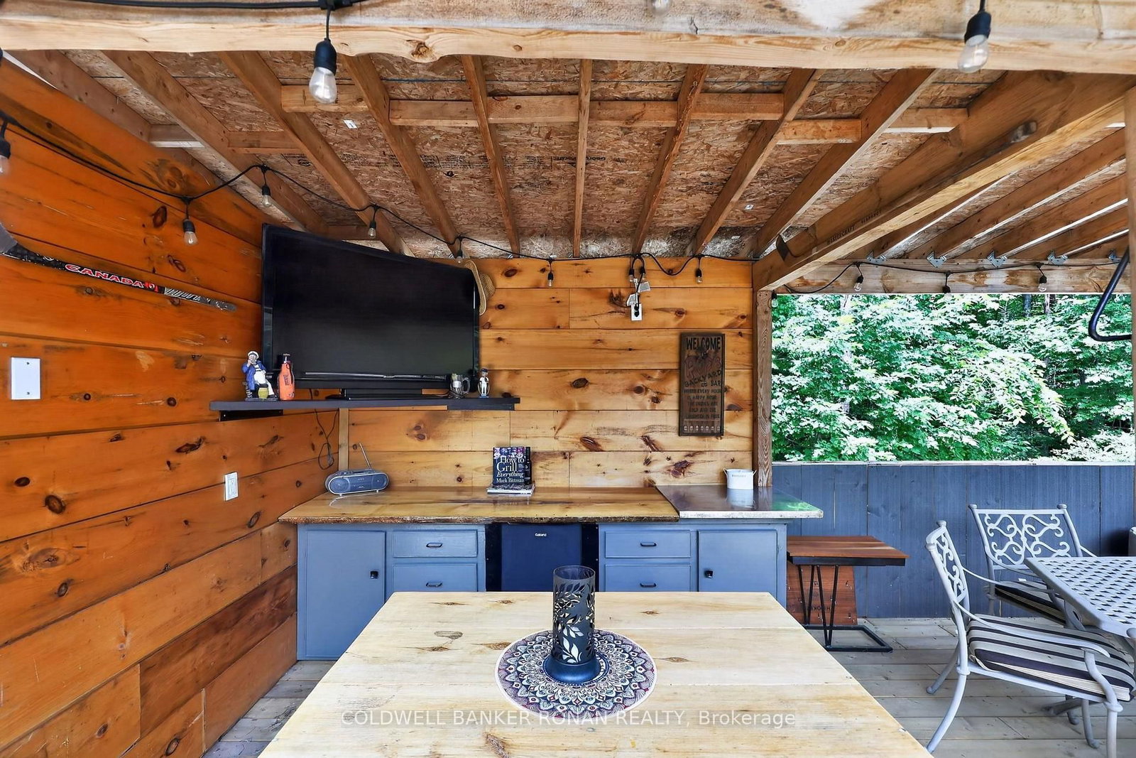 9087 Webster Road • Adjala-Tosorontio, ON photo 39