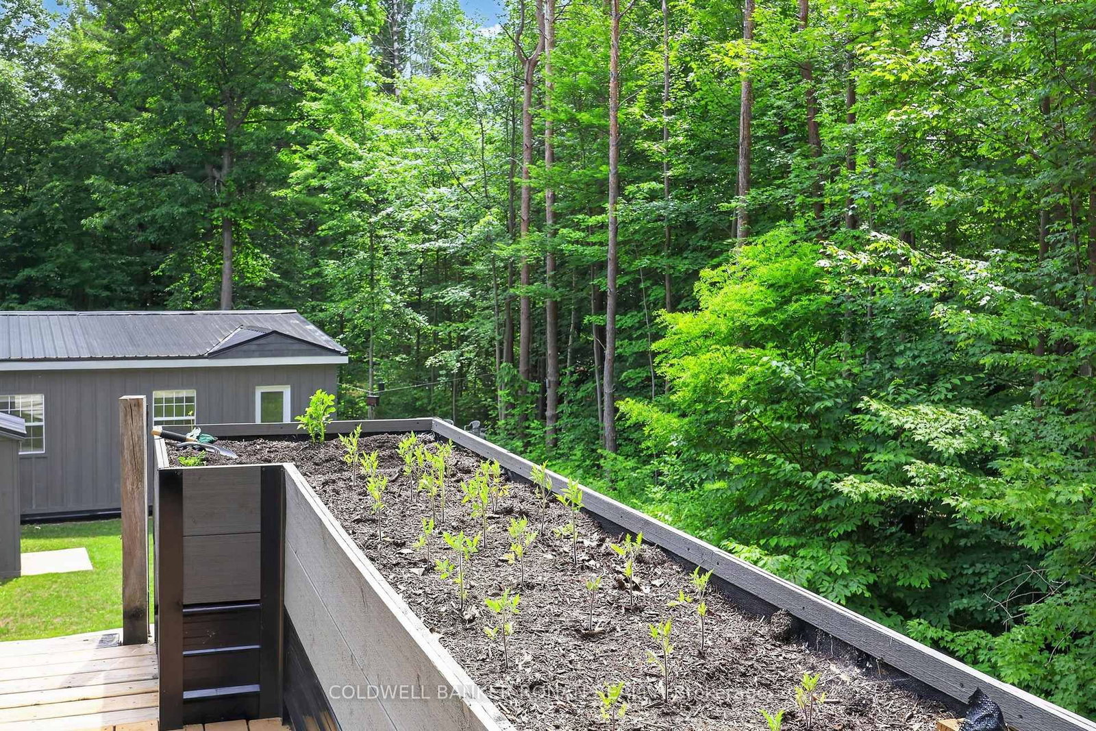 9087 Webster Road • Adjala-Tosorontio, ON photo 40