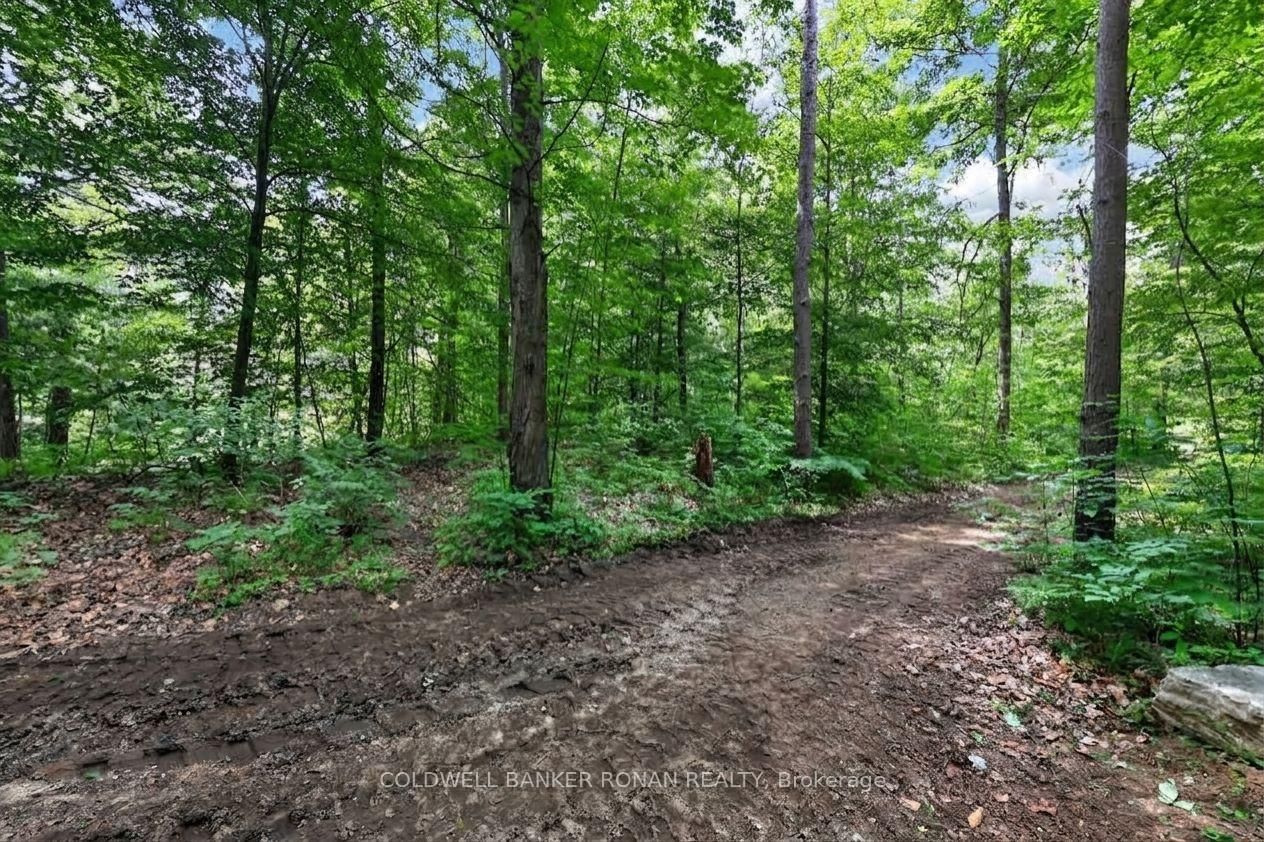 9087 Webster Road • Adjala-Tosorontio, ON photo 43