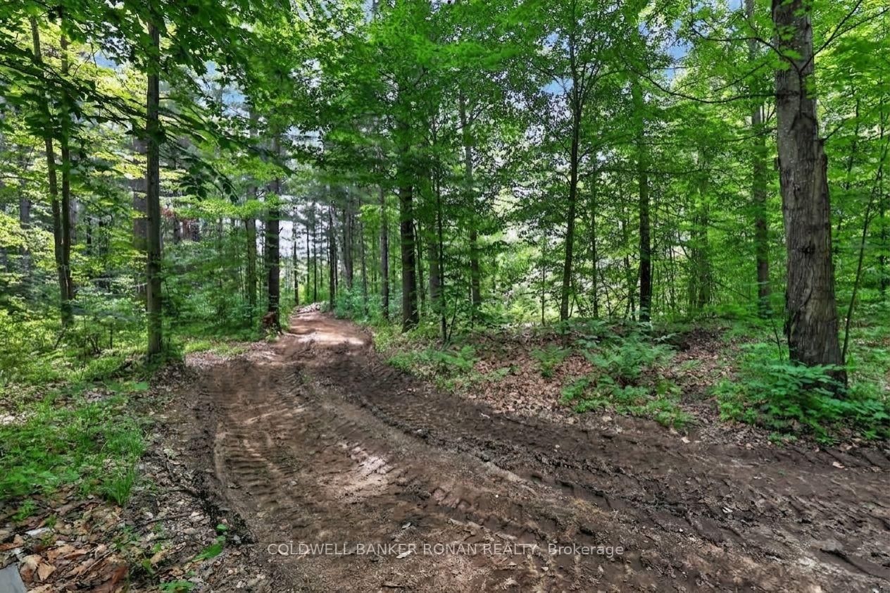 9087 Webster Road • Adjala-Tosorontio, ON photo 44