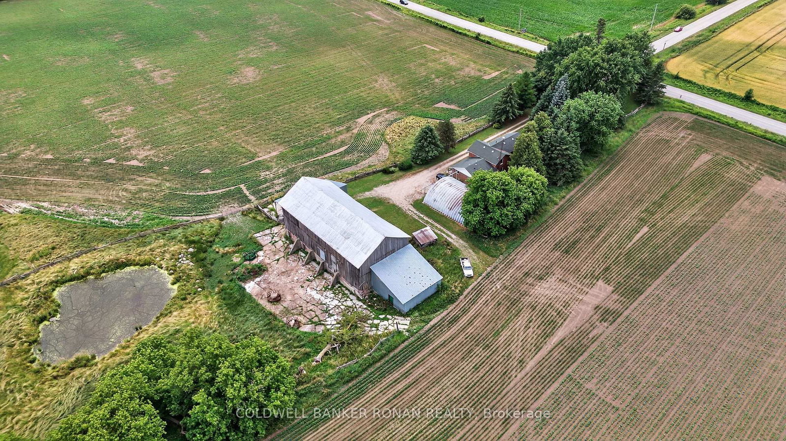 2577 Adjala Tecumseth Townline • New Tecumseth, ON photo 10