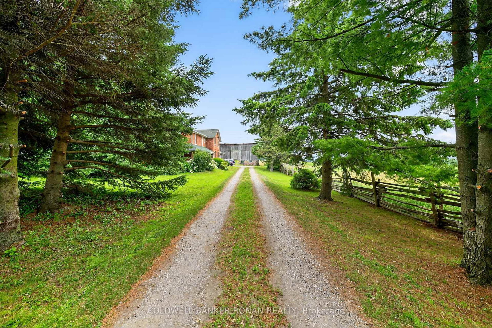 2577 Adjala Tecumseth Townline • New Tecumseth, ON photo 11