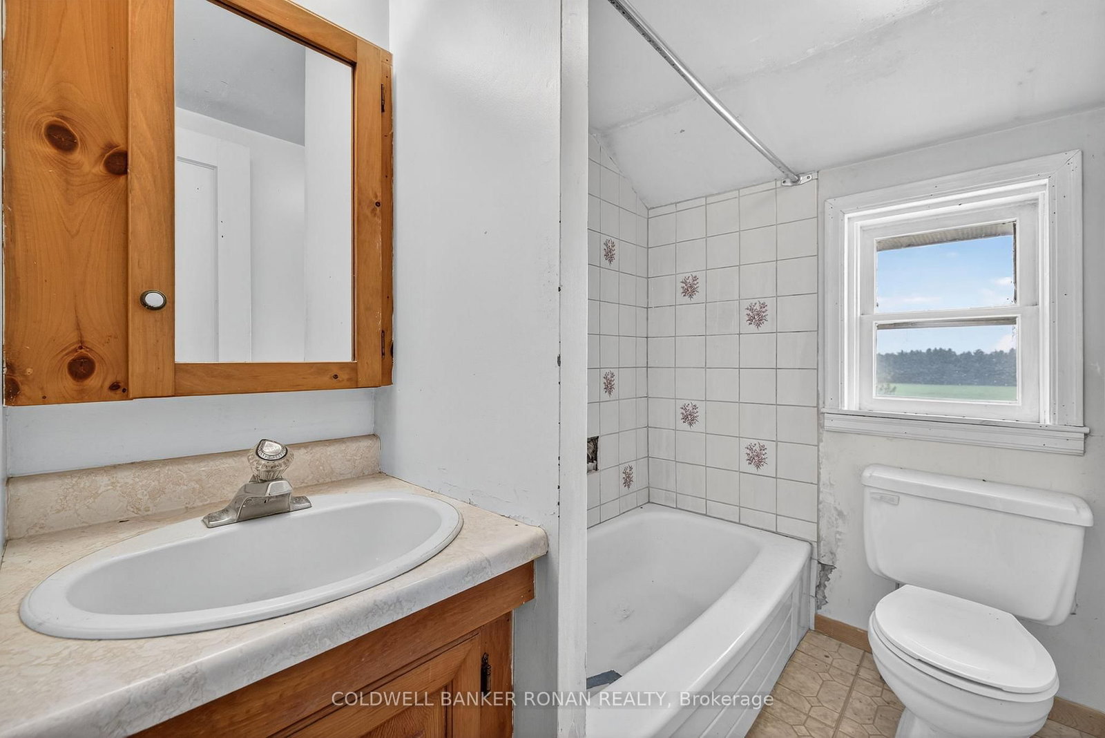 2577 Adjala Tecumseth Townline • New Tecumseth, ON photo 22