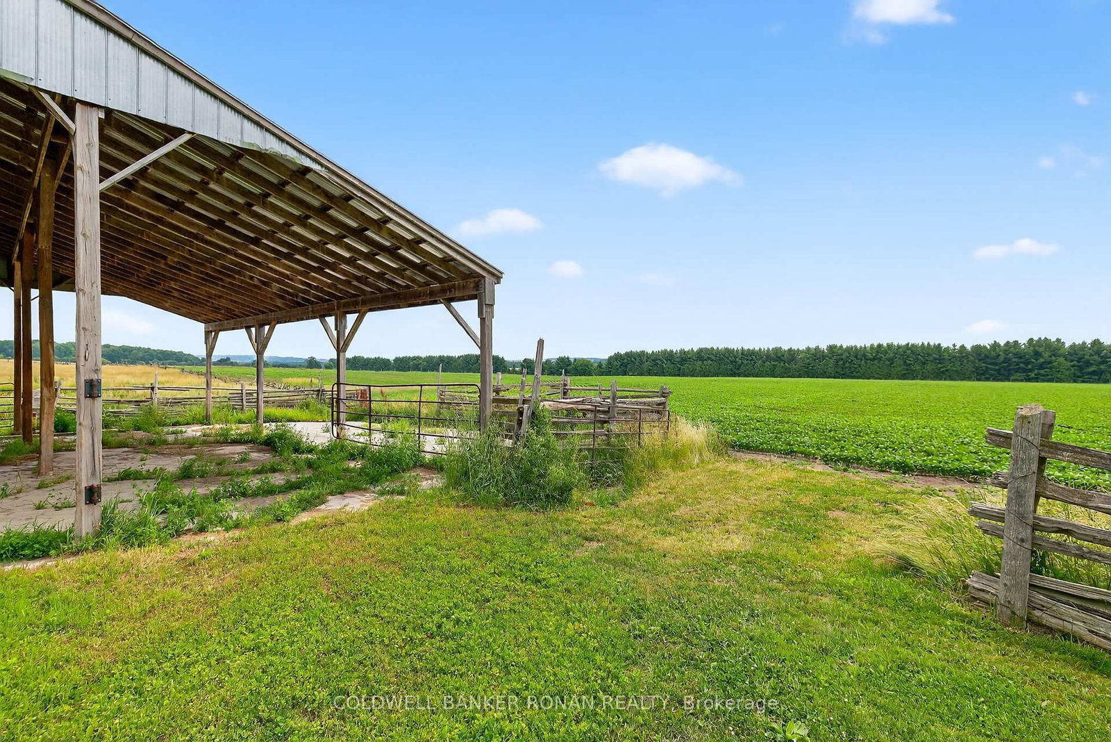 2577 Adjala Tecumseth Townline • New Tecumseth, ON photo 28